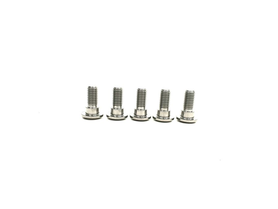 Titanium Boltset for Rear Brake Discs